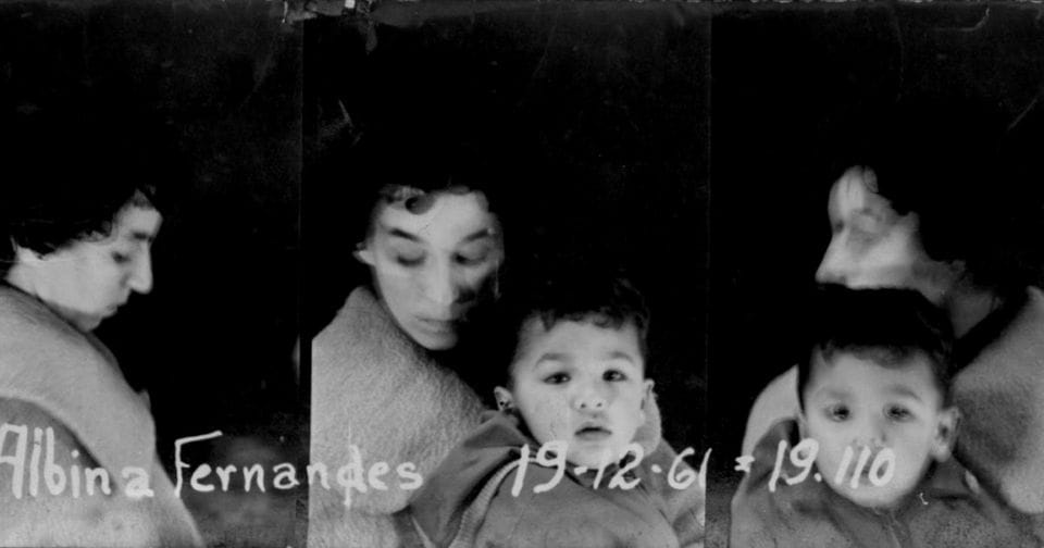 O Meu Menino é d’Ouro